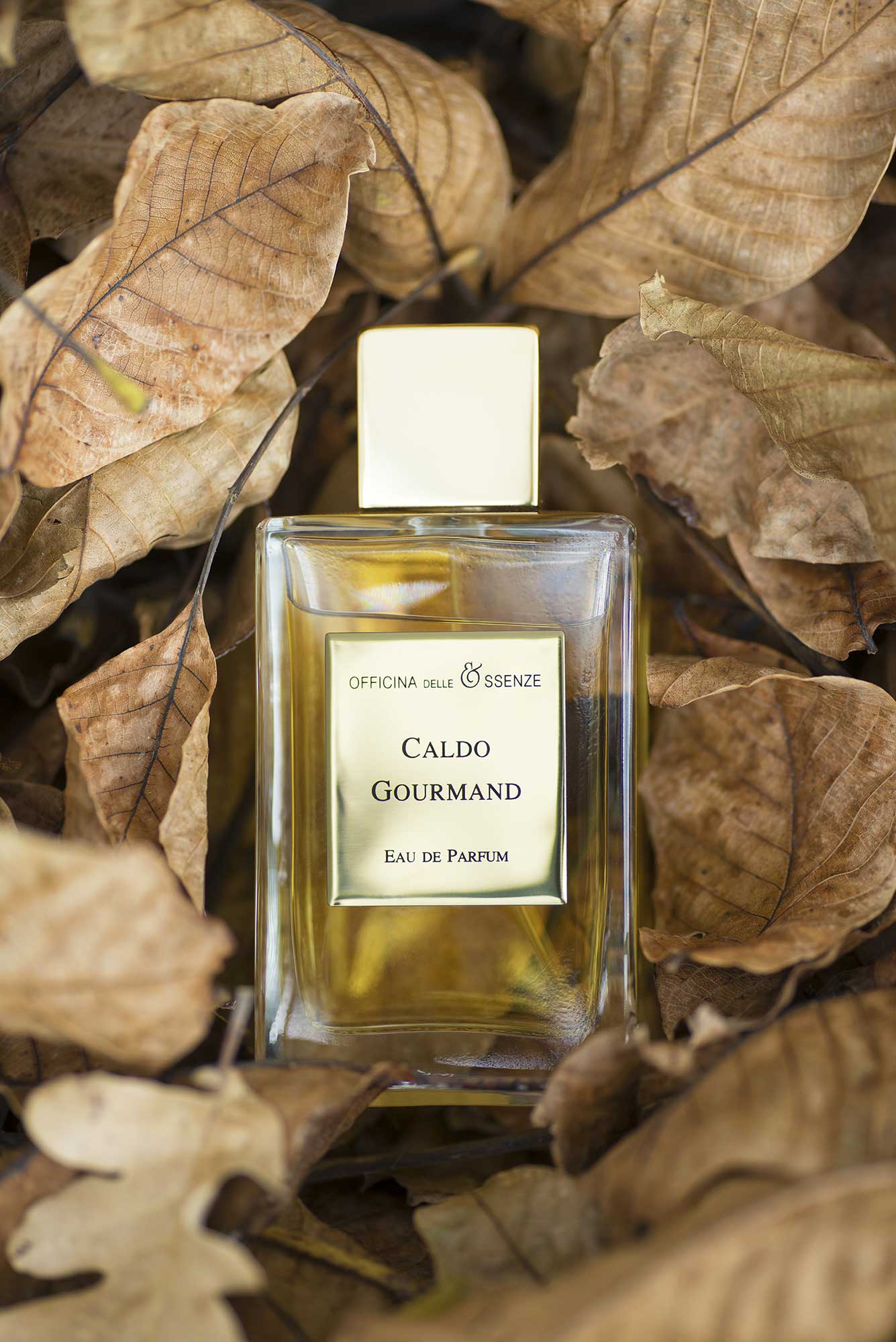 EDP Caldo Gourmand donna EDP Caldo Gourmand donna
