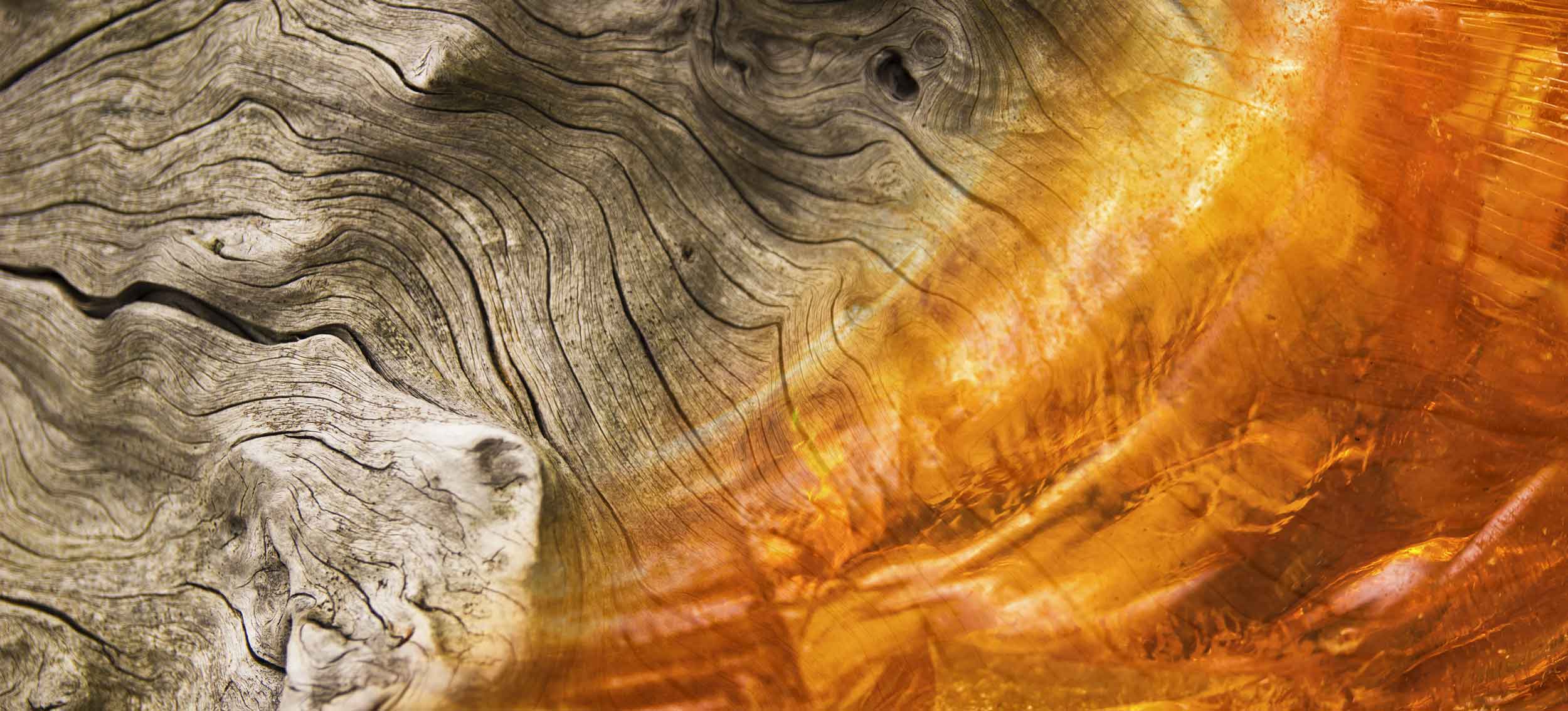 Oud Gourmand - Agarwood - Officina delle Essenze Oud Gourmand - Agarwood - Officina delle Essenze